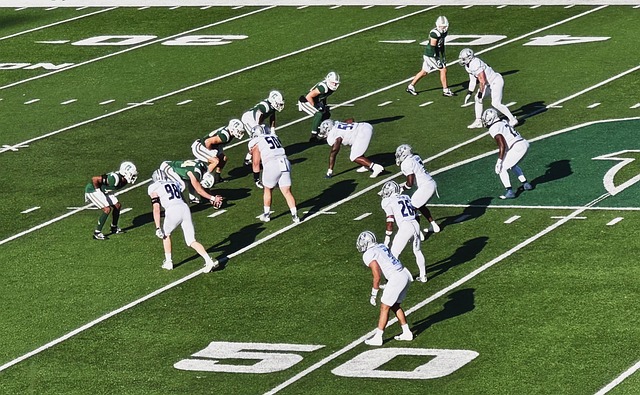 的利物浦 的利物浦