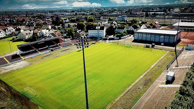 到底是什么 到底是什么