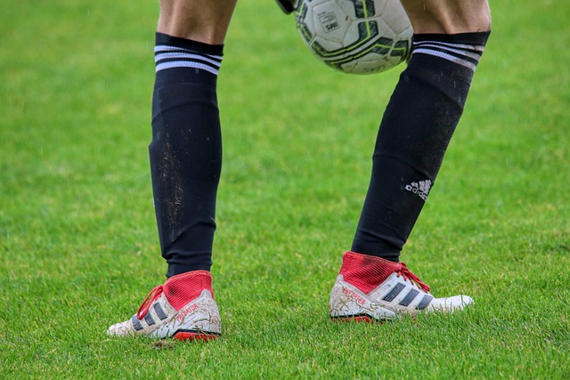 的期待有差 的期待有差