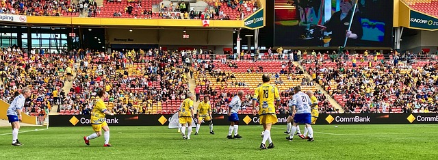 今年夏窗 今年夏窗