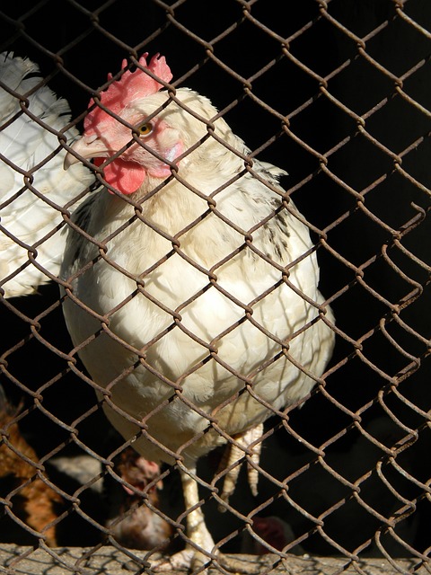 运动的无穷 运动的无穷