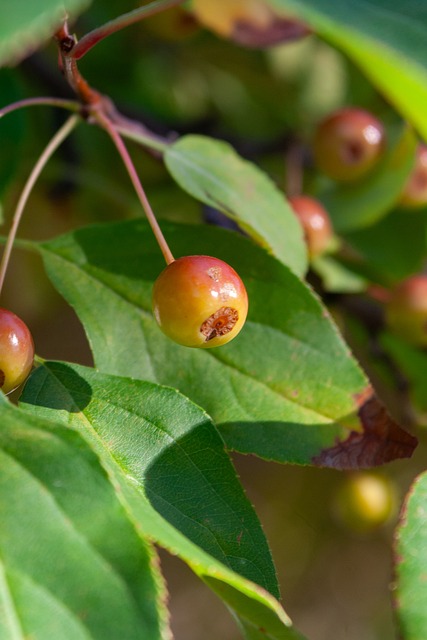 调整节奏提 调整节奏提