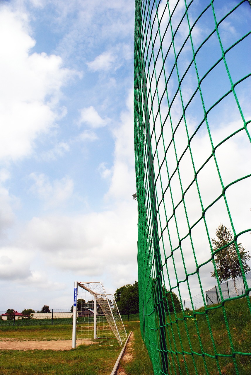 准的引援解 准的引援解