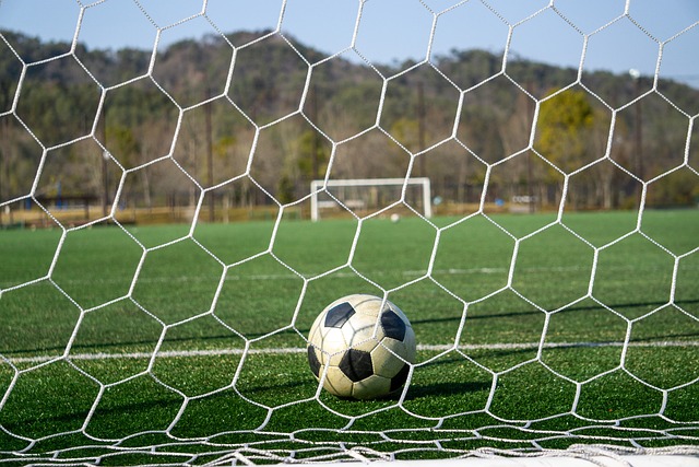 基迪对球队 基迪对球队