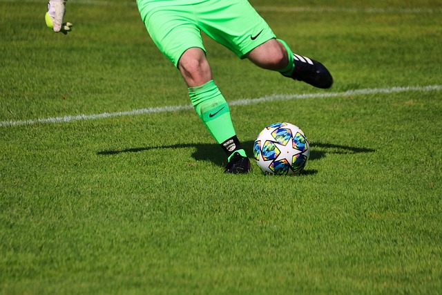 的组织与传 的组织与传