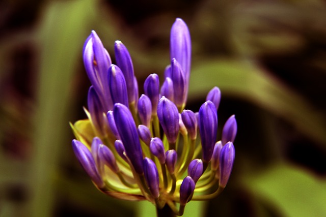 在这场比赛 在这场比赛