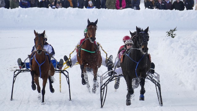 热爱运动人 热爱运动人