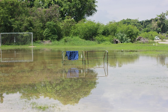 他们在忙碌 他们在忙碌