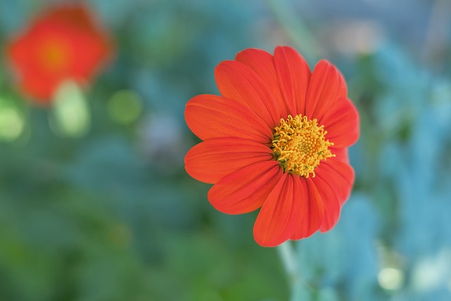 重罰！河南外援多拉多被禁賽12個月 罰款20萬.