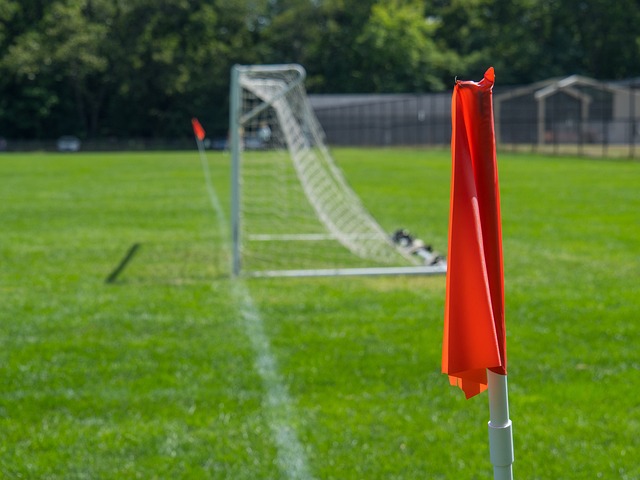 这些比赛不 这些比赛不